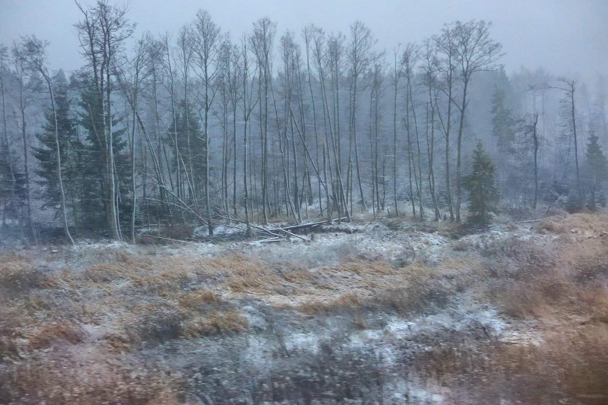 Nachdem Xaver zu Besuch war   